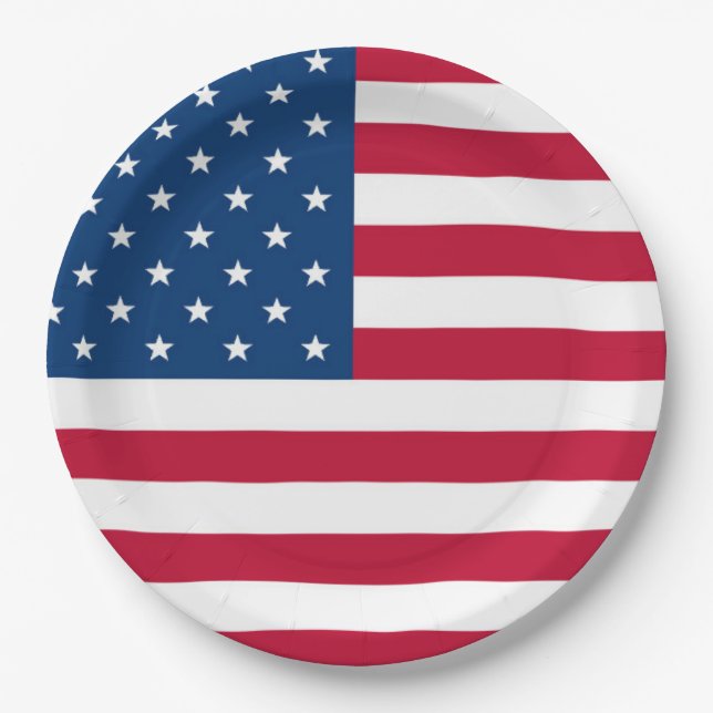 USA Flag design 4th of July Party  Paper Plates (Front)