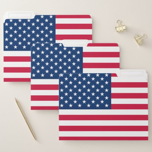 USA Flag File Folder