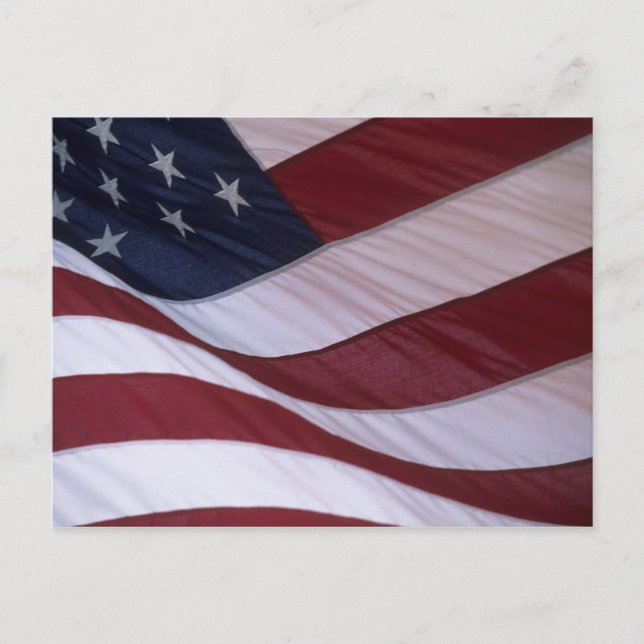 USA flag, North Carolina, USA Postcard (Front)