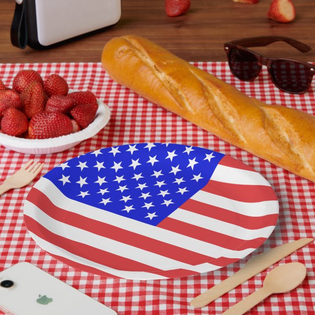 USA Flag Paper Plates (Picnic)