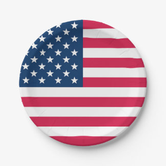 USA Flag Paper Plates