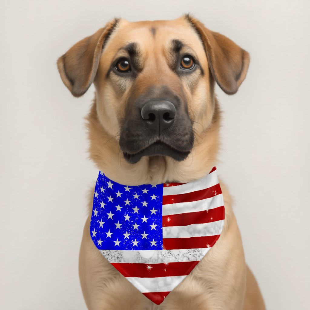 USA flag patriotic