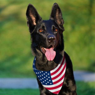 USA Flag Pet Bandana Collar Patriotic