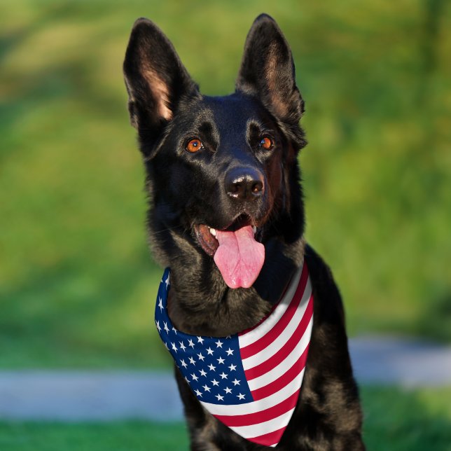 USA Flag Pet Bandana Collar Patriotic (Dog)