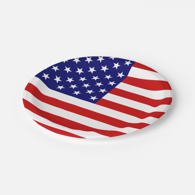 USA Flag ppcnt Paper Plates (Angled)