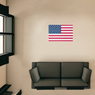USA Flag Rug