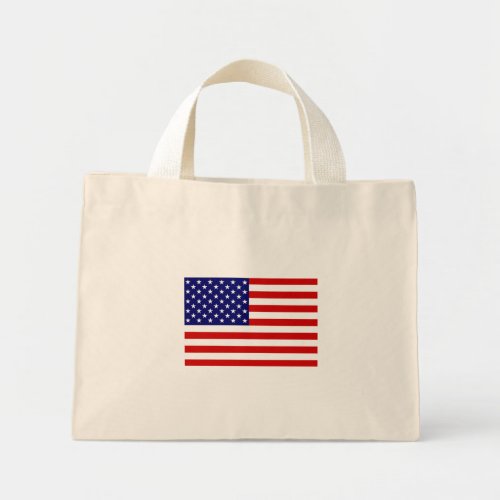 USA Flag ttcn Mini Tote Bag