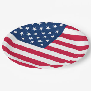 USA Flag - United States of America - Patriotic Paper Plates