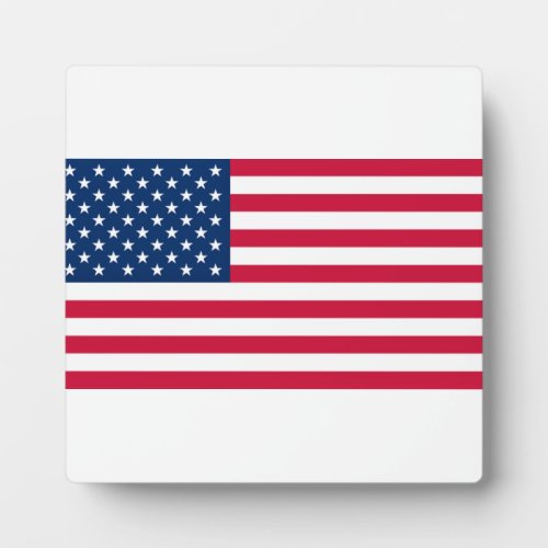 USA Flag _ United States of America _ Patriotic Plaque