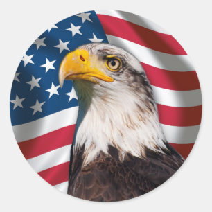 USA Flag with Bald Eagle Classic Round Sticker