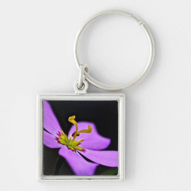 USA, Florida, Big Cypress National Preserve Keychain (Front)