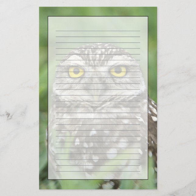 USA, Florida, Cape Coral, Burrowing Owl (Athene Stationery (Front)