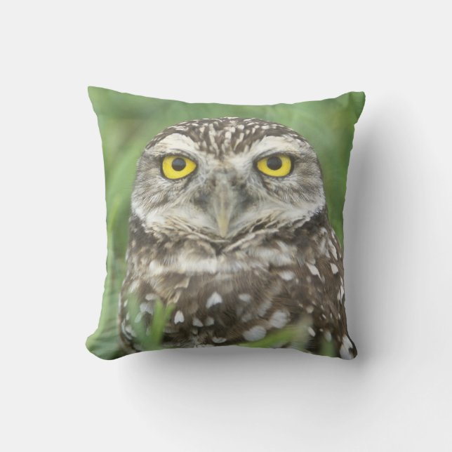USA, Florida, Cape Coral, Burrowing Owl (Athene Throw Pillow (Front)