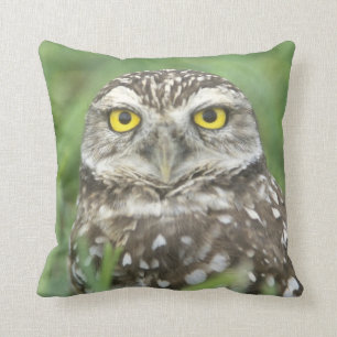 USA, Florida, Cape Coral, Burrowing Owl (Athene Throw Pillow