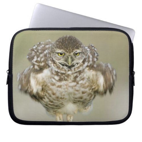USA Florida Cape Coral Close_up of burrowing Laptop Sleeve