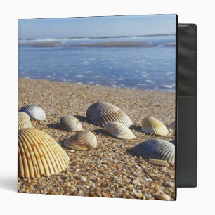 USA, Florida, Coastal Sea Shells 3 Ring Binder