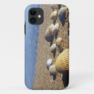 USA, Florida, Coastal Sea Shells iPhone 11 Case