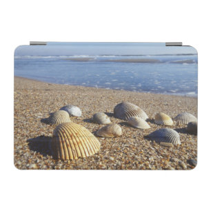 USA, Florida, Coastal Sea Shells iPad Mini Cover
