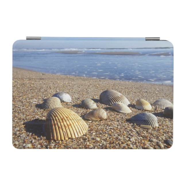USA, Florida, Coastal Sea Shells iPad Mini Cover (Horizontal)