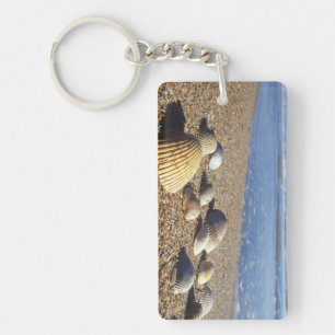 USA, Florida, Coastal Sea Shells Keychain