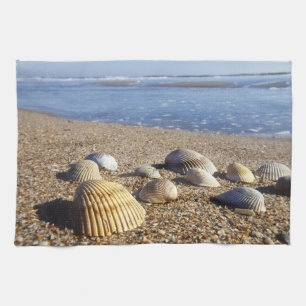 USA, Florida, Coastal Sea Shells Kitchen Towel