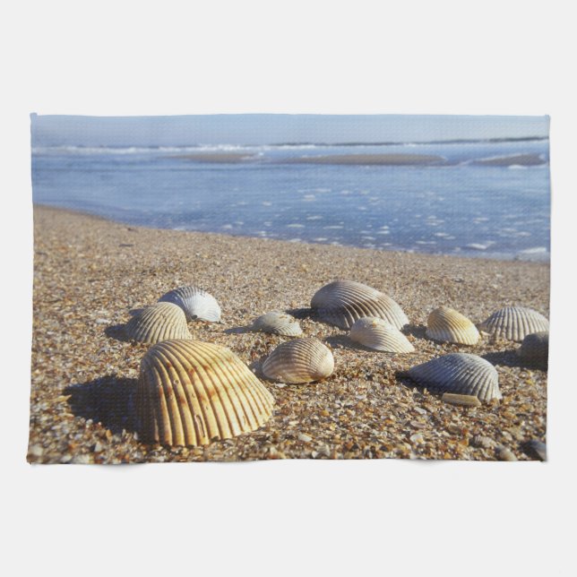 USA, Florida, Coastal Sea Shells Kitchen Towel (Horizontal)