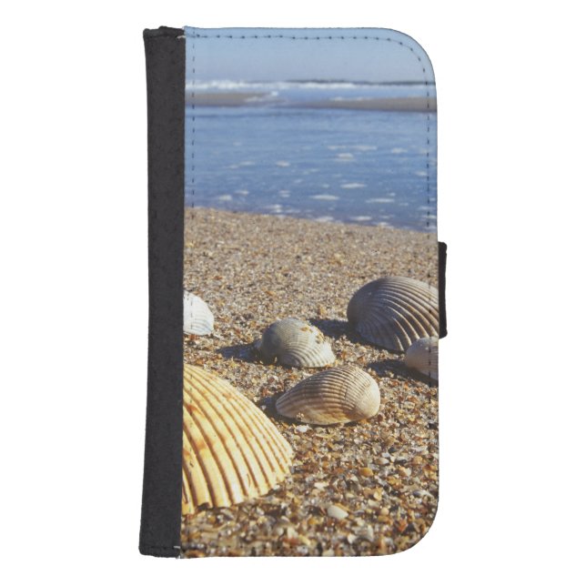 USA, Florida, Coastal Sea Shells Samsung Galaxy Wallet Case (Front)