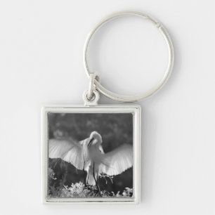 USA, Florida, Great Egret (Ardea alba) infrared 2 Keychain