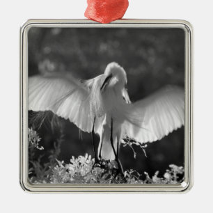 USA, Florida, Great Egret (Ardea alba) infrared 2 Metal Ornament
