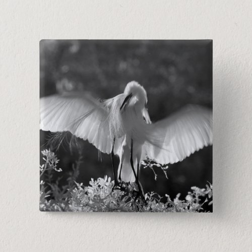 USA Florida Great Egret Ardea alba infrared 2 Pinback Button