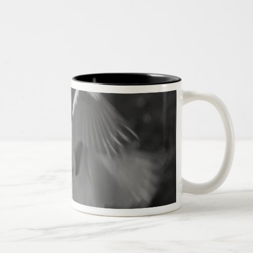 USA Florida Great Egret Ardea alba infrared 3 Two_Tone Coffee Mug