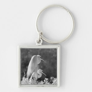 USA, Florida, Great Egret (Ardea alba) infrared Keychain