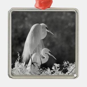 USA, Florida, Great Egret (Ardea alba) infrared Metal Ornament
