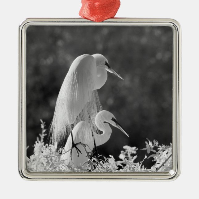 USA, Florida, Great Egret (Ardea alba) infrared Metal Ornament (Front)
