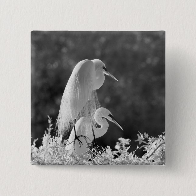 USA, Florida, Great Egret (Ardea alba) infrared Pinback Button (Front)
