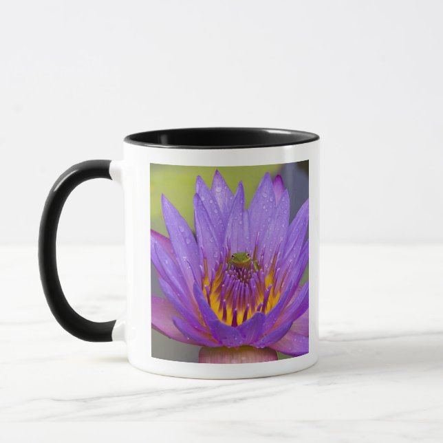 USA, Florida, Lake Kissimmee. Green leaf frog Mug (Left)