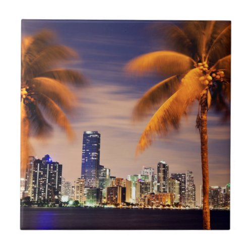 USA Florida Miami skyline at dusk Tile