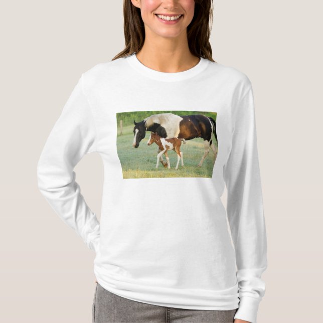 USA, Florida, Newborn Paint filly T-Shirt (Front)