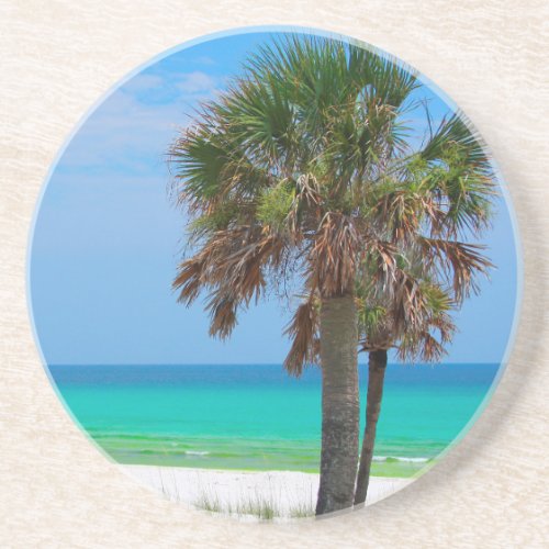 USA Florida Palm Trees On Emerald Coast Coaster