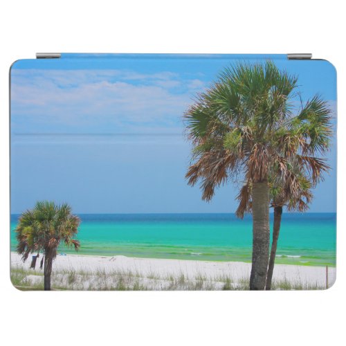 USA Florida Palm Trees On Emerald Coast iPad Air Cover