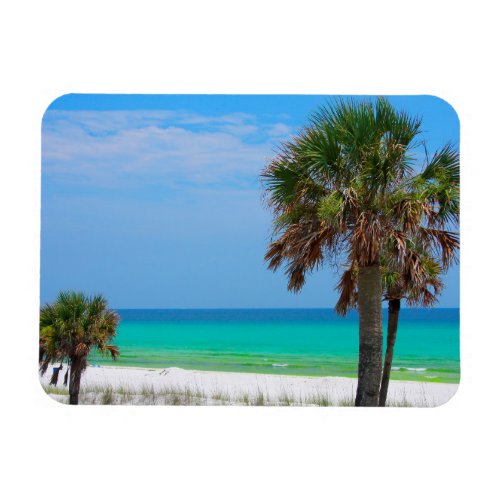 USA Florida Palm Trees On Emerald Coast Magnet