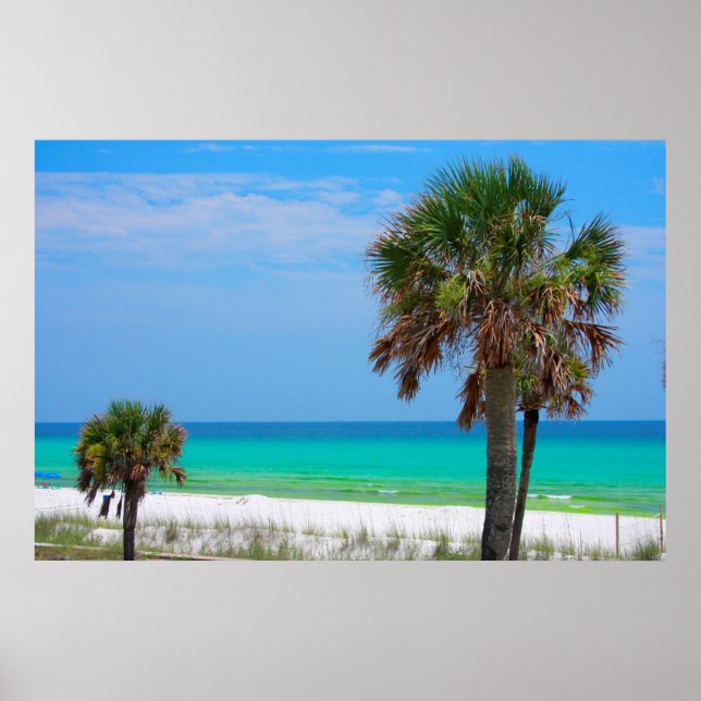 USA, Florida. Palm Trees On Emerald Coast Poster (Front)