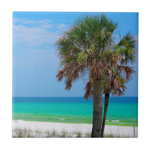 USA, Florida. Palm Trees On Emerald Coast Tile