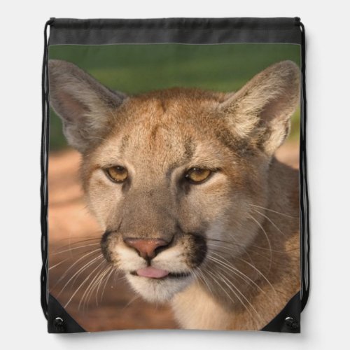 USA Florida panther Felis concolor is also Drawstring Bag