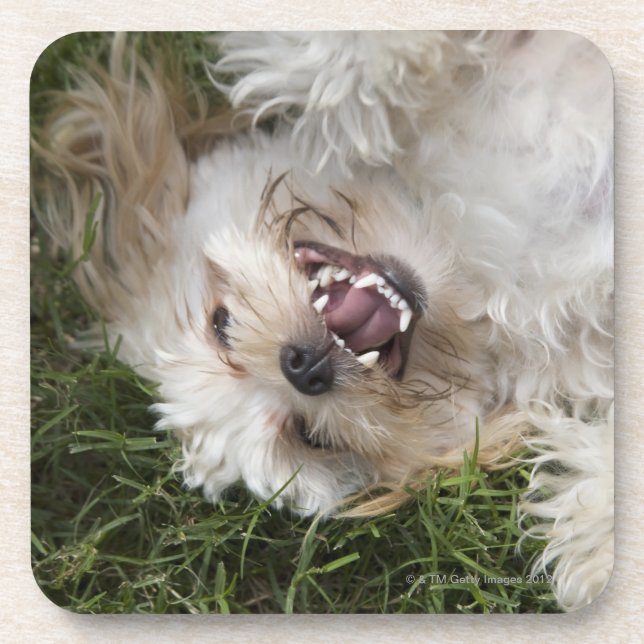 USA, Florida, Ponte Vedra Beach Drink Coaster (Front)