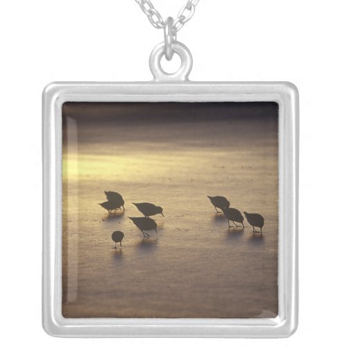 USA Florida Sanderlings Silver Plated Necklace