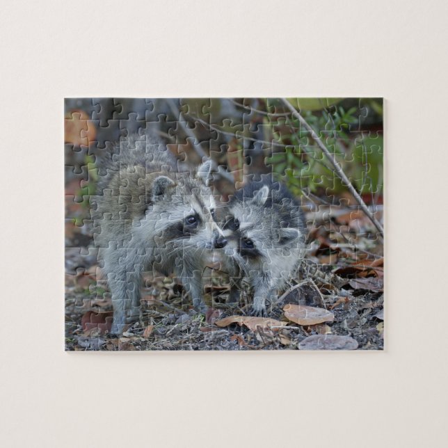 USA, Florida, Sanibel, Ding Darling National Jigsaw Puzzle (Horizontal)