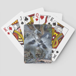 USA, Florida, Sanibel, Ding Darling National Poker Cards