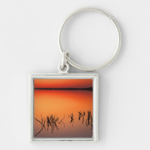 USA, Florida. Silhouettes of dead tree branches Keychain