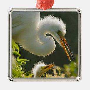 USA, Florida, St. Augustine, Alligator farm Metal Ornament
